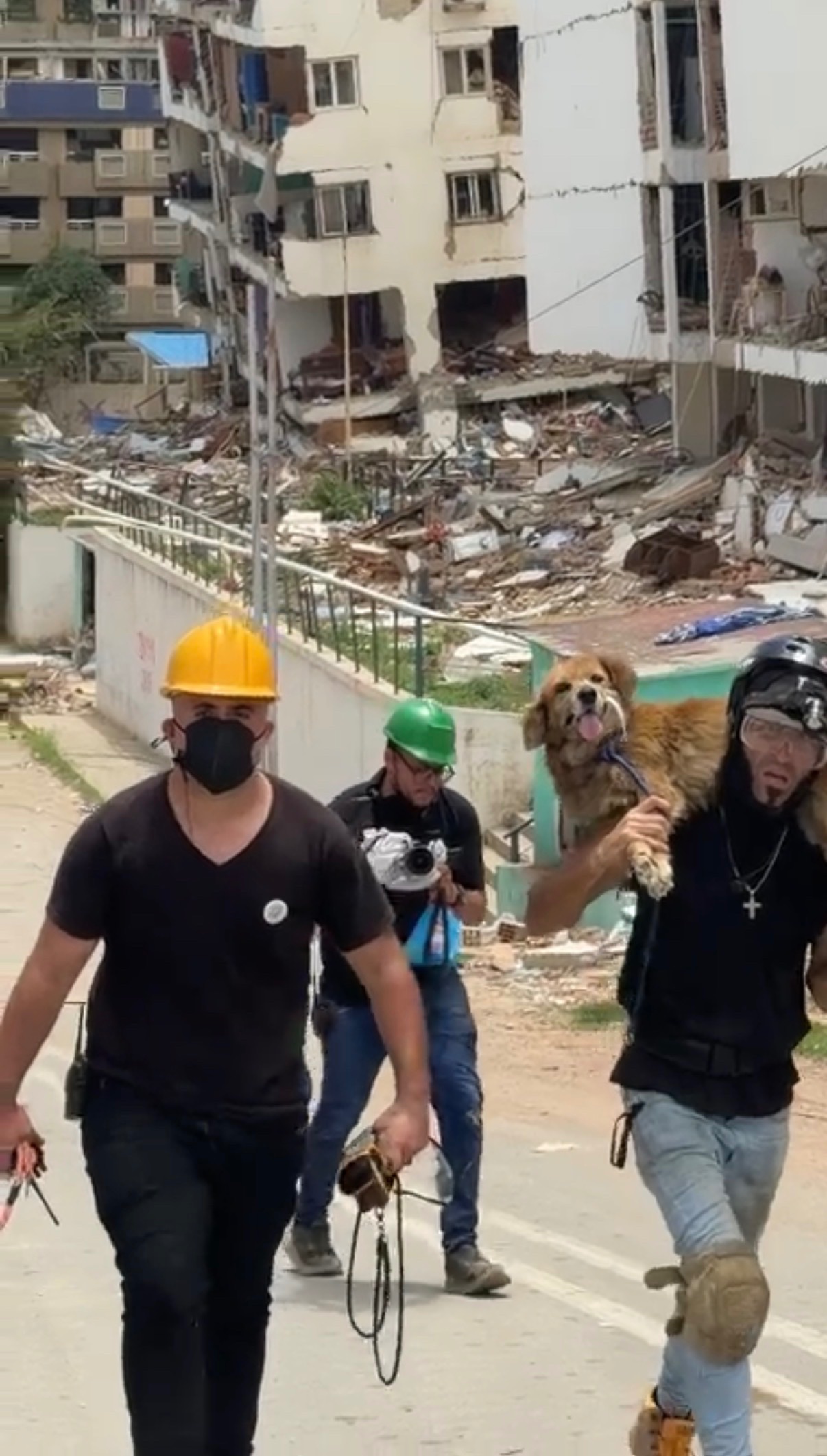 Street Dogs - Earthquake Emergency campaign photo, 4 of 6