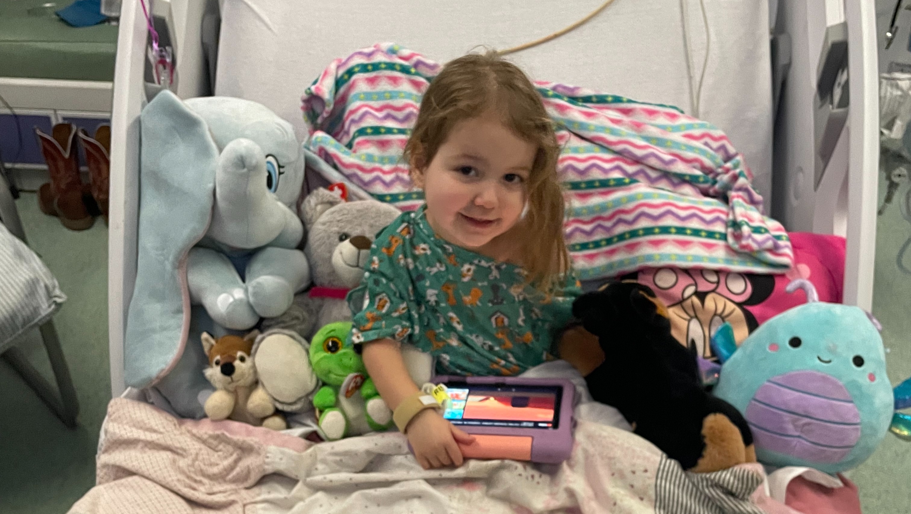 Adley Sue's Brain Tumor Expenses photo