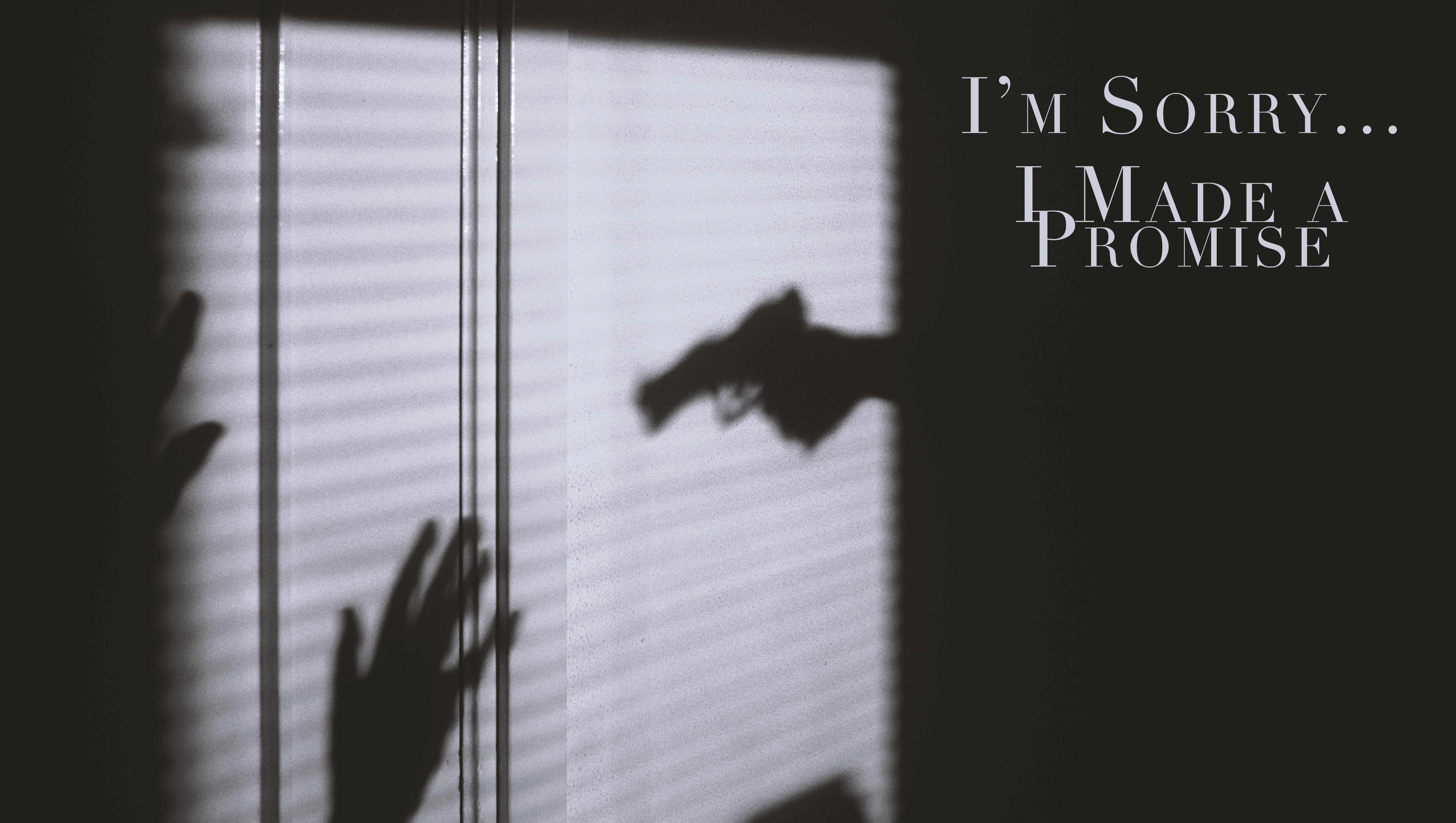 I'm Sorry, I Made A Promise. photo