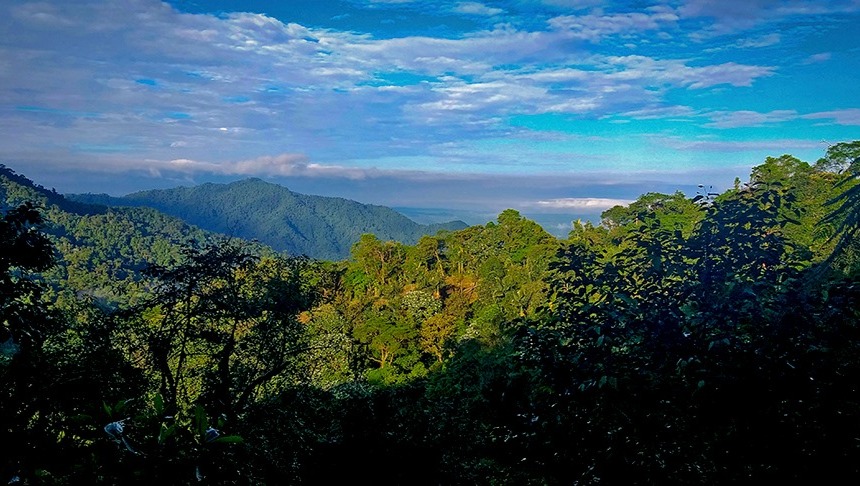 Secure the Future of the Mashpi Amagusa Reserve photo