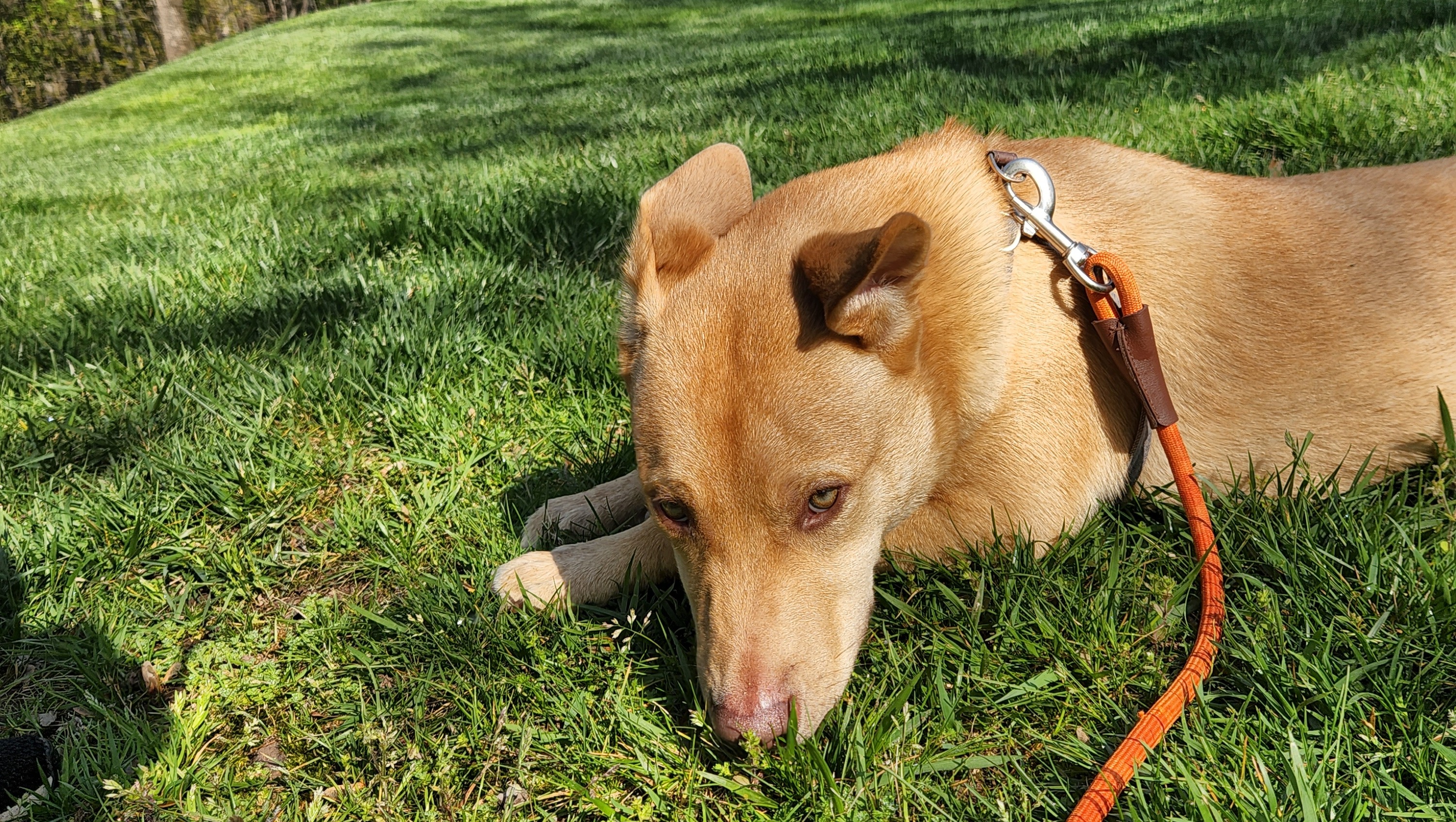 Sudden Lay Off photo