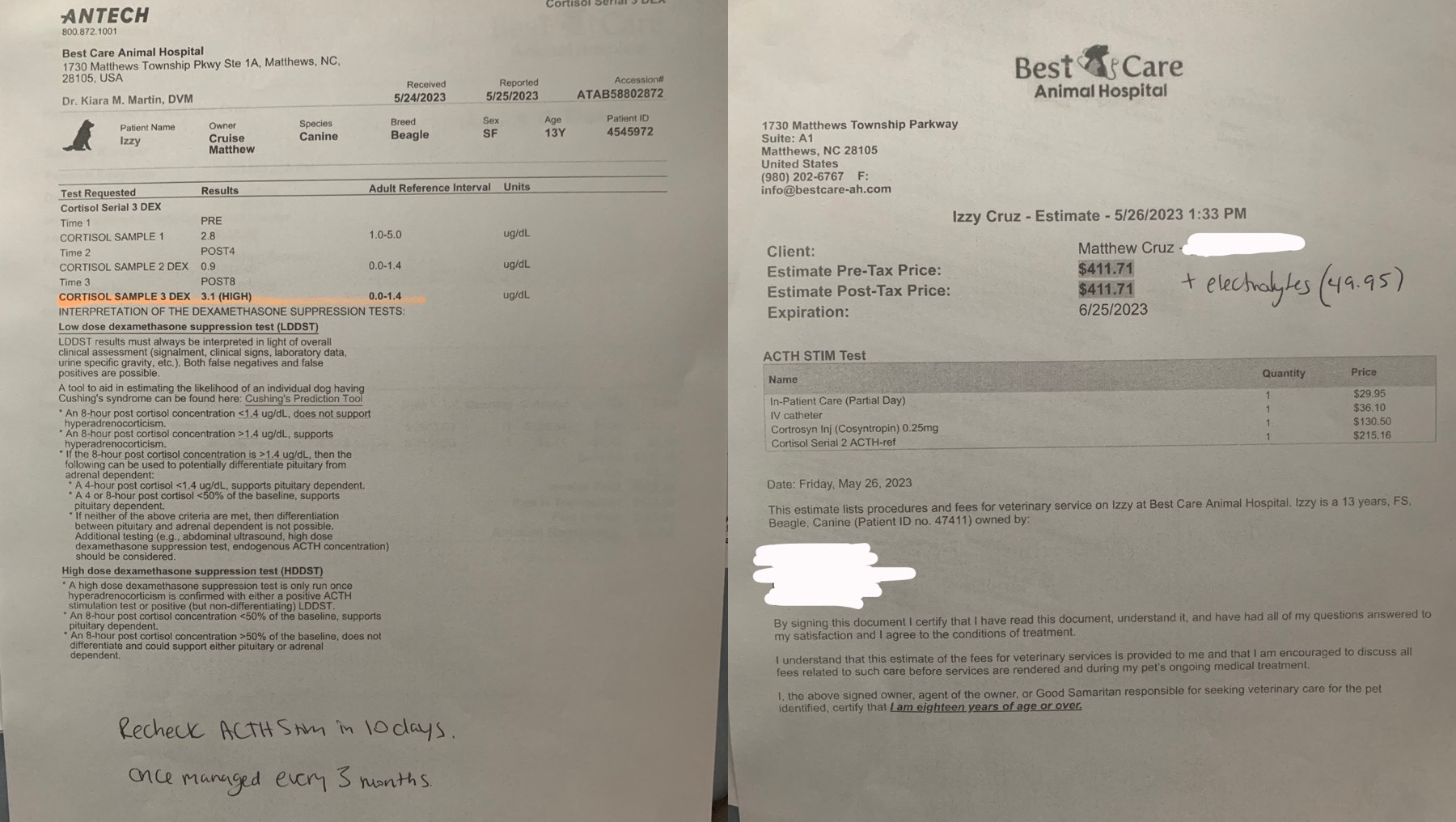 Fundraiser by Julie H Izzy, the 13yo beagle with Cushing Disease