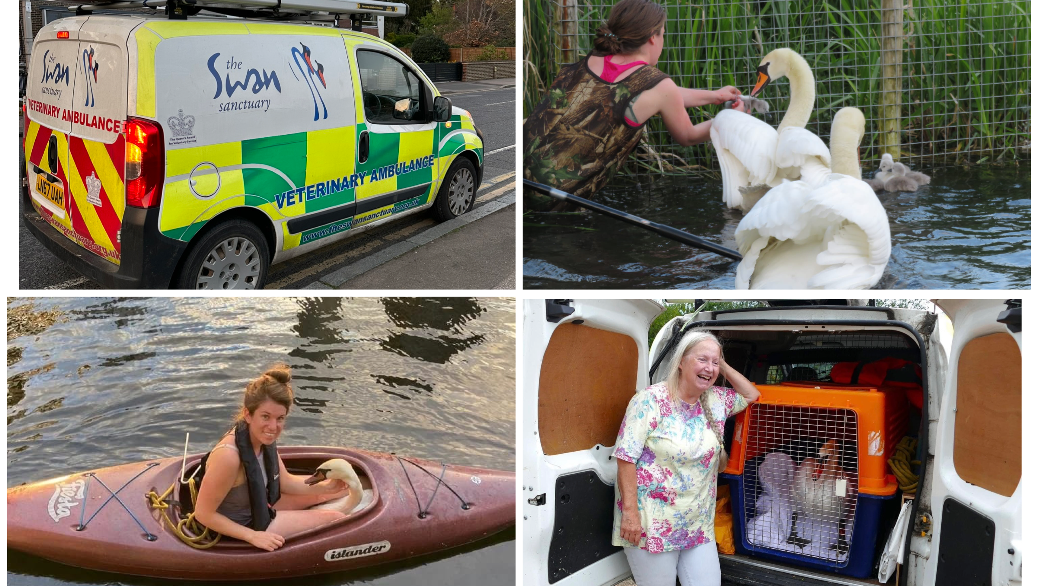 Fundraiser for Gill Walker by Helen ORourke : Donate to help fund the ...