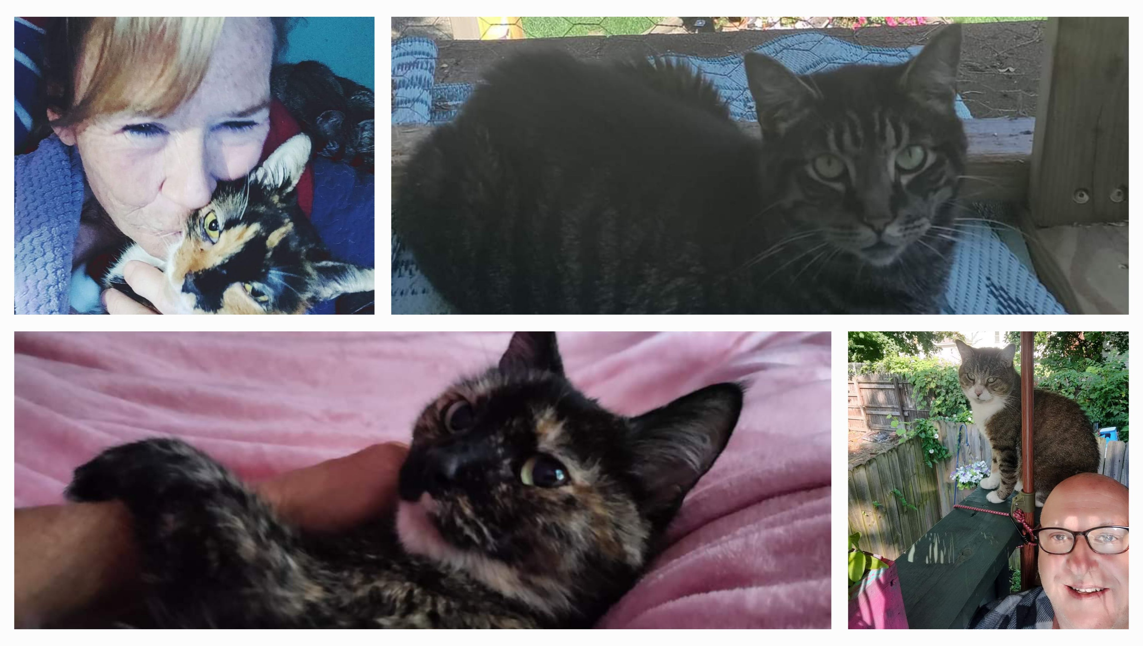 Fundraiser for Laurie Riddle by Dori Knobloch : Help with Laurie ...