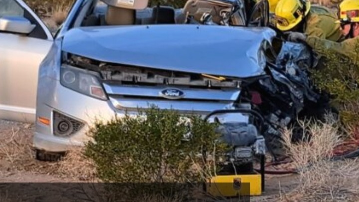 [73417213_174020376715446_r]