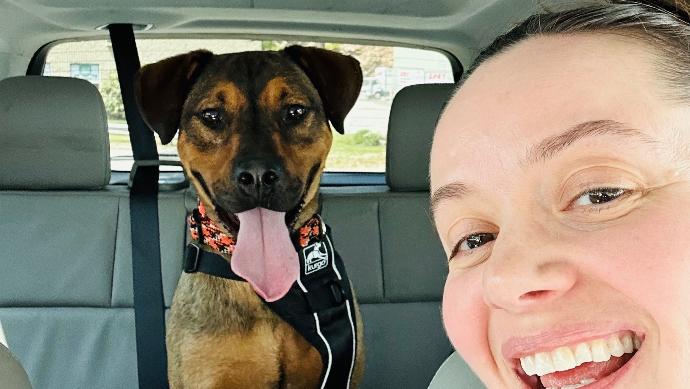 PLEASE HELP Niko FKA Nick Jonas photo