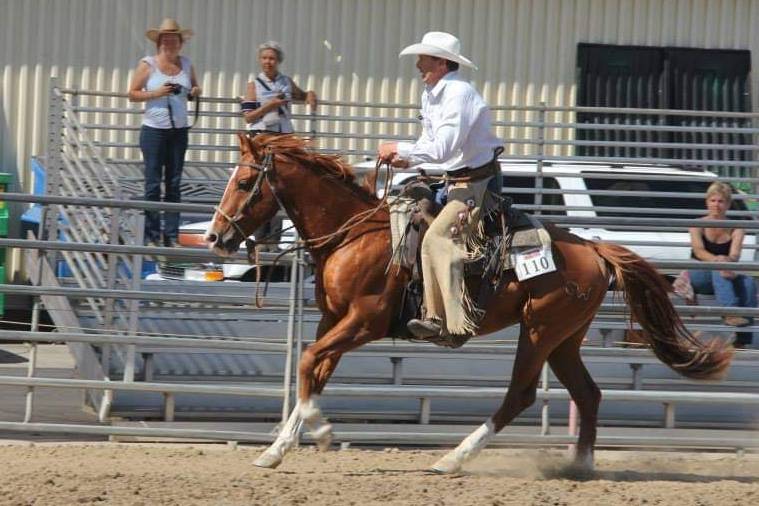 Fundraiser by Krista Koenig Help Ferdinand's Rescue with Nic's Vet bill