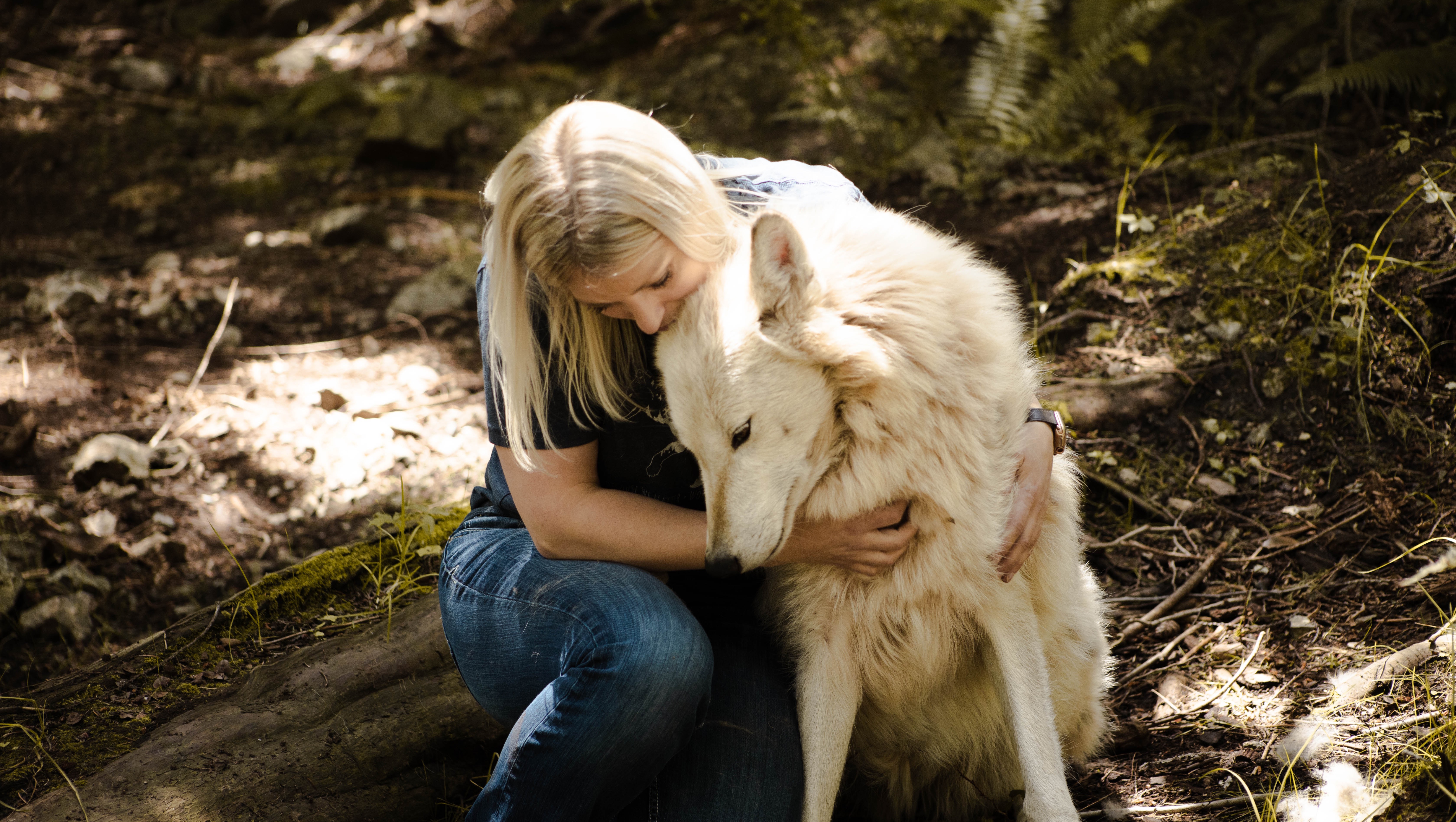 Help Us Save Our Sanctuary and Be Their Voice! photo