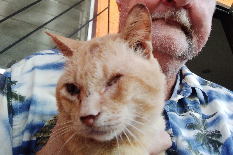 Fundraiser by Wesly Woodward Red needs help to see veterinarian clinic