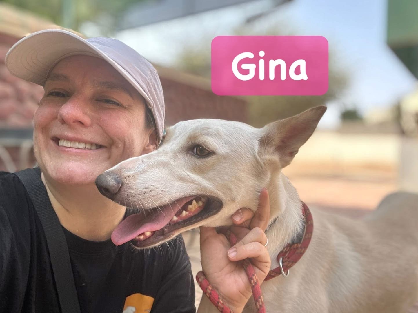 Help us to send our dogs to the USA 2026 campaign photo, 4 of 5