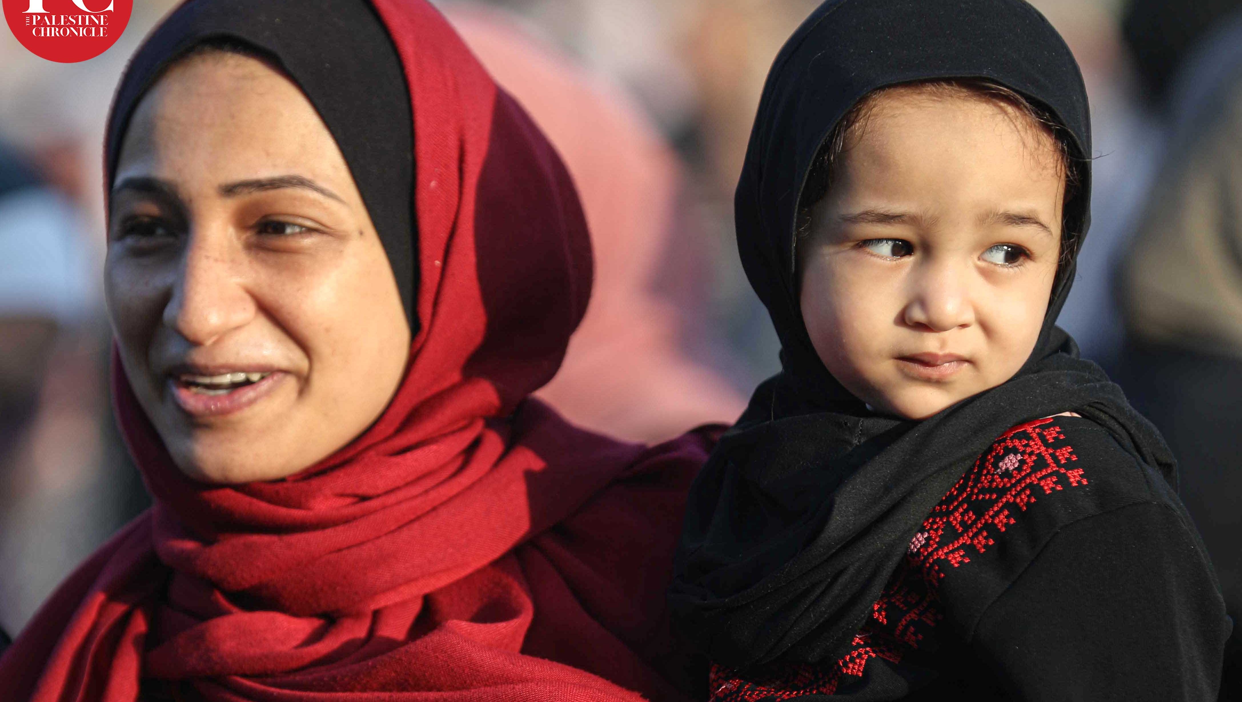 Fundraiser by The Palestine Chronicle : The Palestine Chronicle Needs