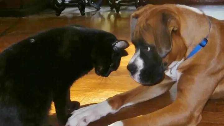 Help Chrystal and Hogan fight FIP photo