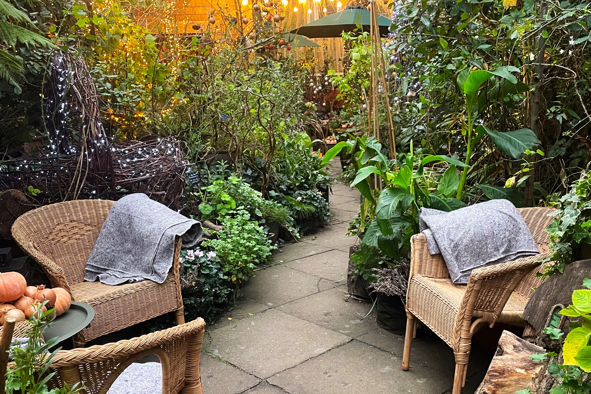 Help save The Onion Garden campaign photo, 6 of 8