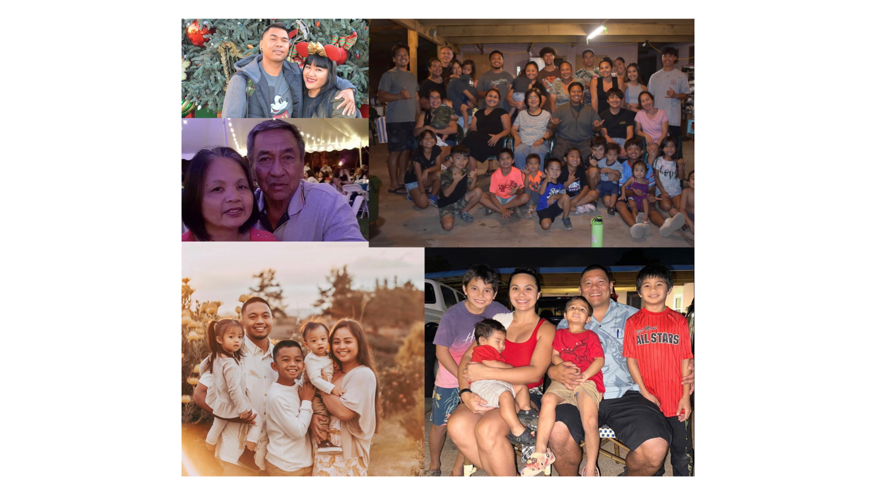 Fundraiser by Erna Faber : Quesada-Agmata-Sarte-Hirouji Lahaina Fire ...