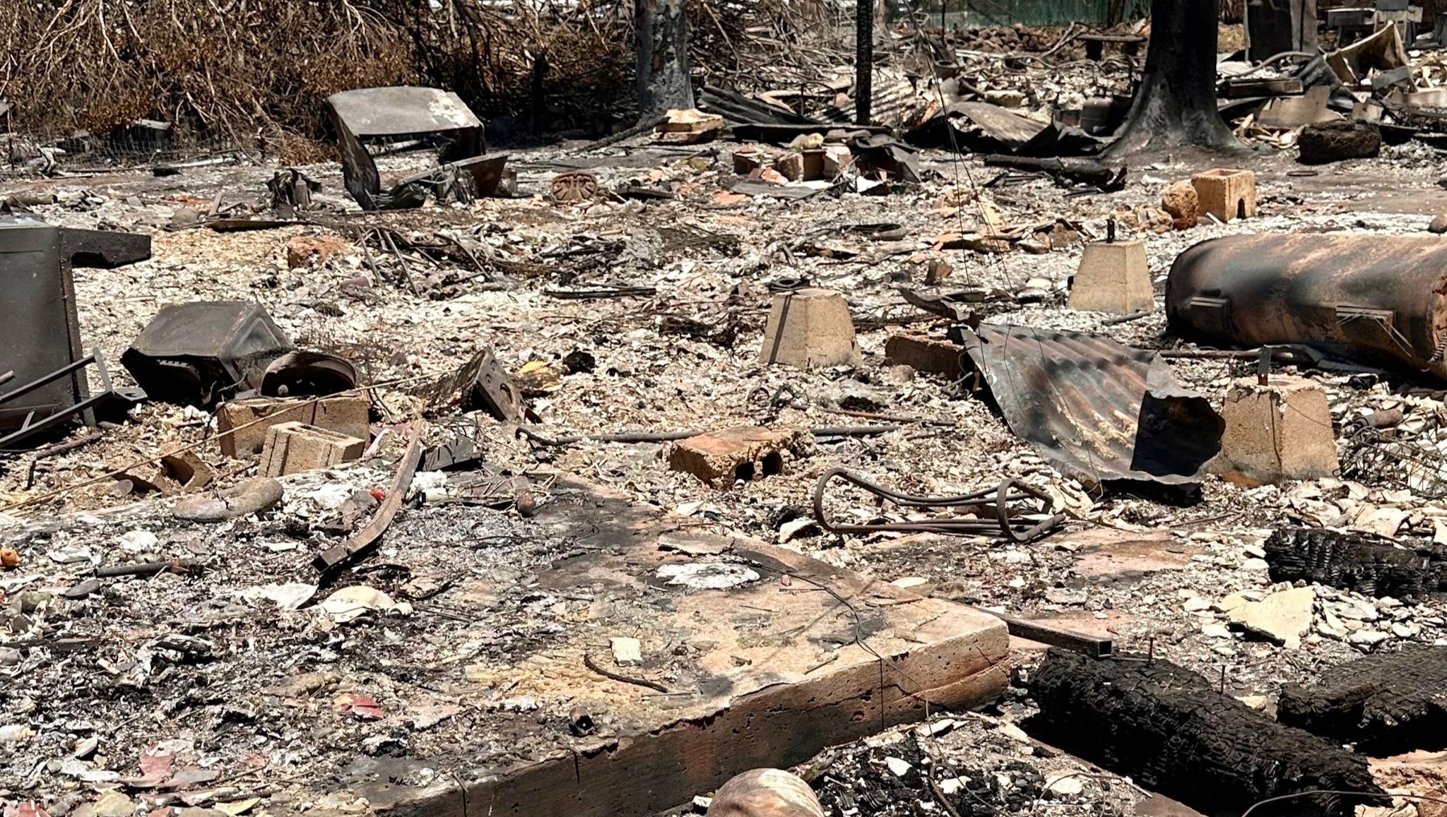 Help Lisa Jones Recover From Maui Wildfire photo