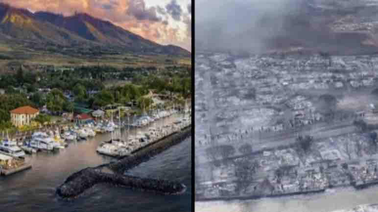 For Renee Smith of Lahaina of Maui. photo