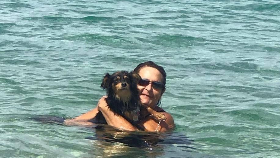 Help Dawn Lewis photo