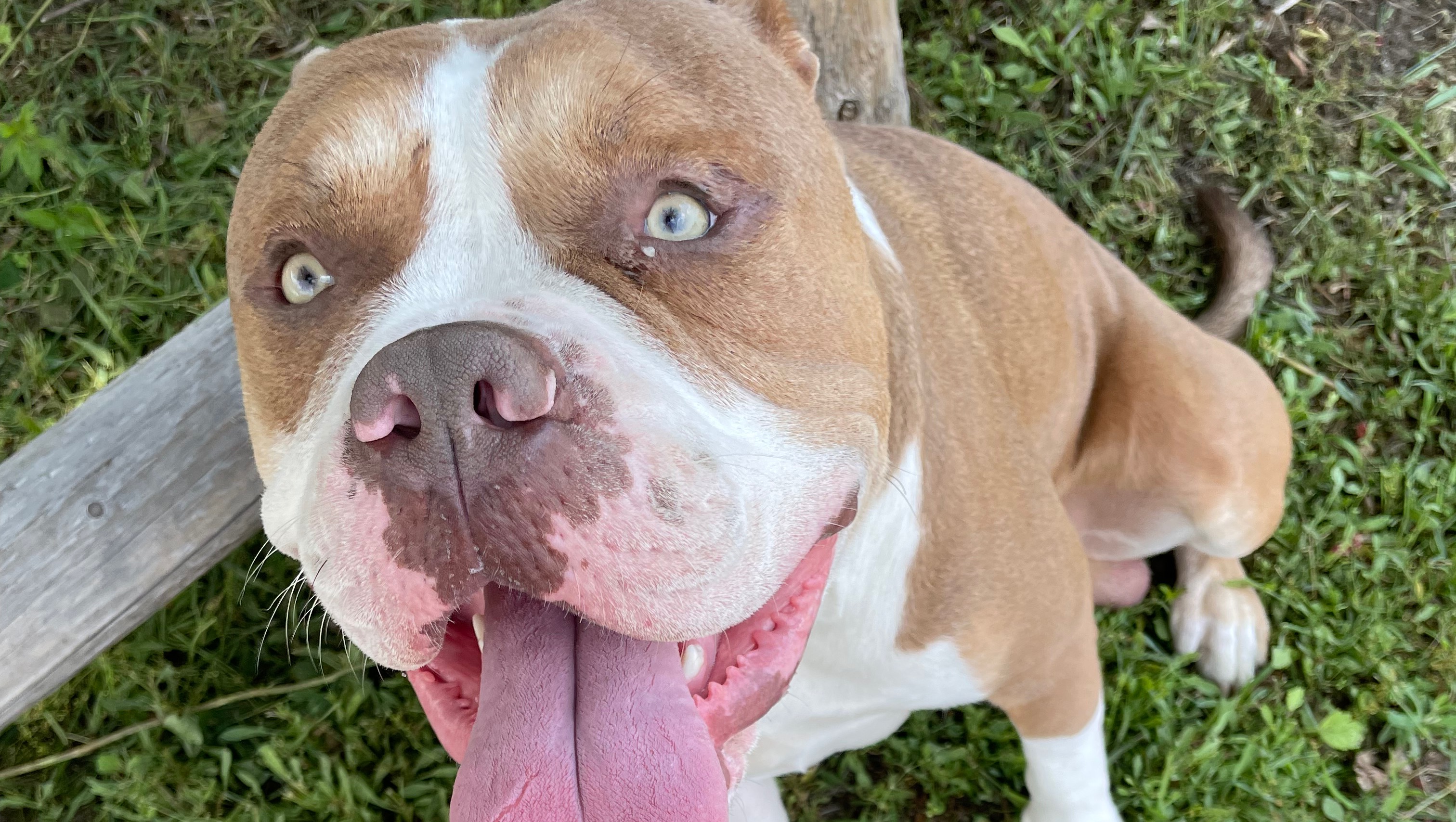 Scarr’s Chemo Treatments photo