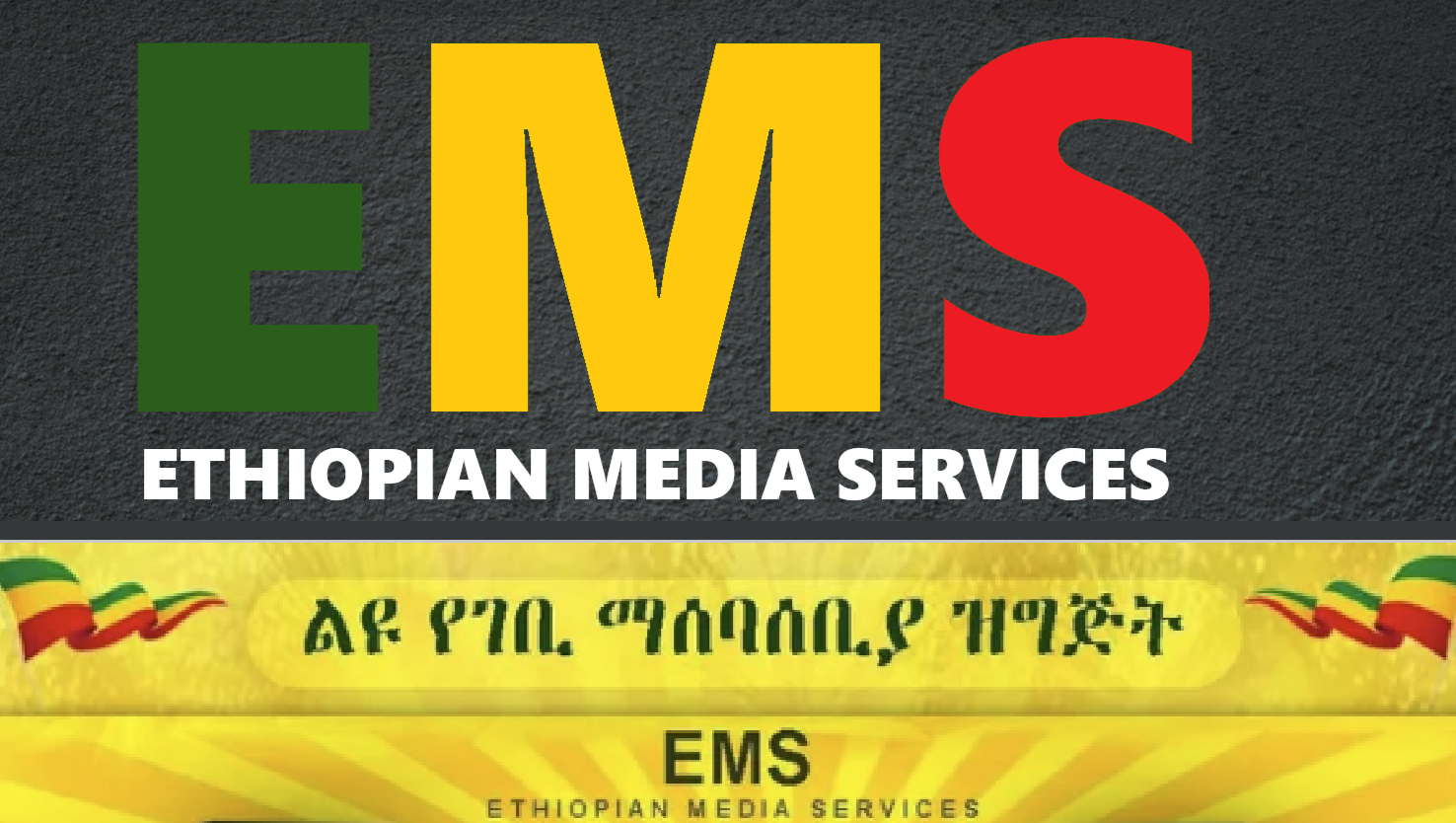 Ethiopian Media Services Annual Fundraising
