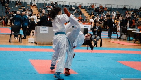 Fundraiser by Cecilia Tran : help Celia go to the Karate World