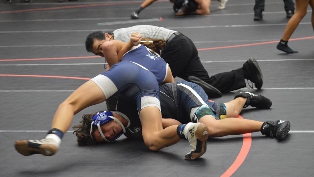 Fundraiser for DAVID PAALUHI by taavi paaluhi Freak show wrestling