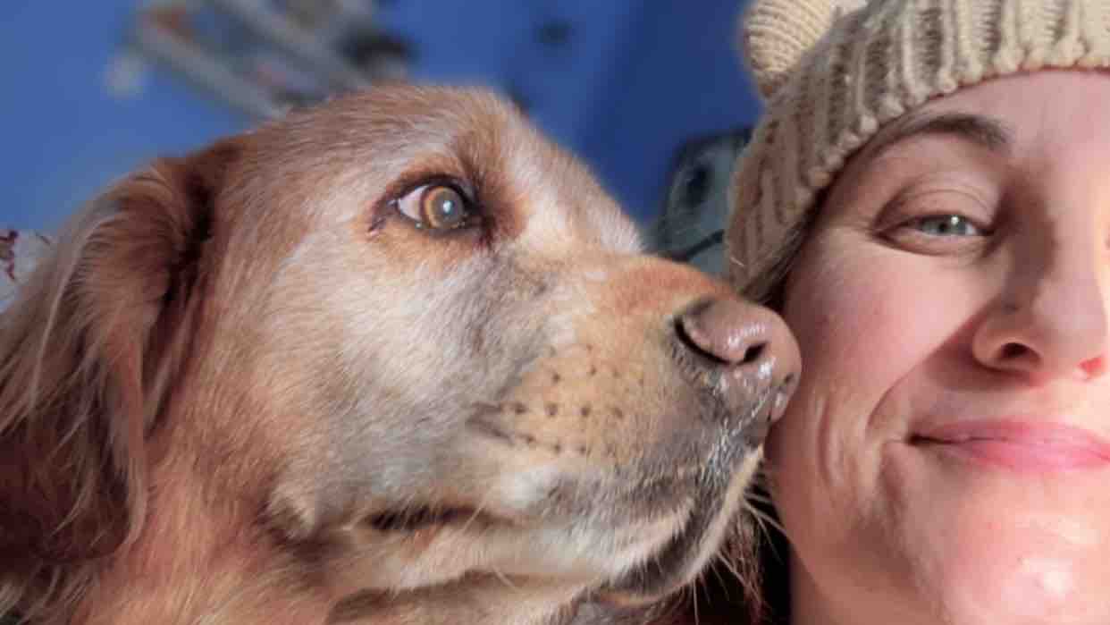 Support B’s Journey with FND & Gastroparesis photo