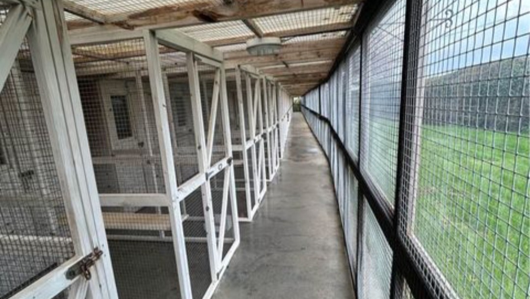 Fundraiser by Joe Clark Hockley Ferret Rescue