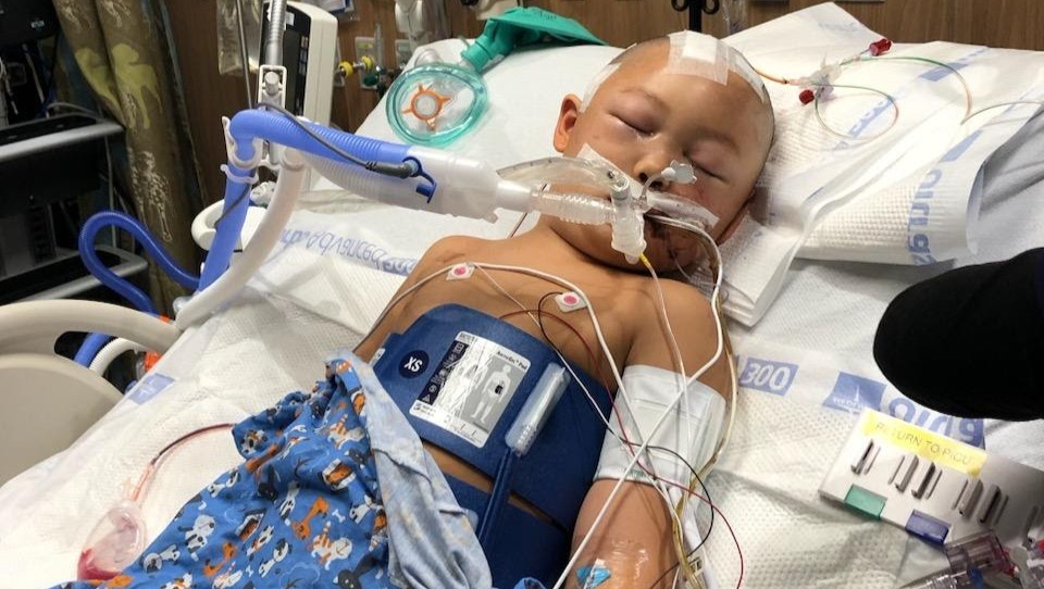 Help Sweet Jeremy and His Fight for Justice photo