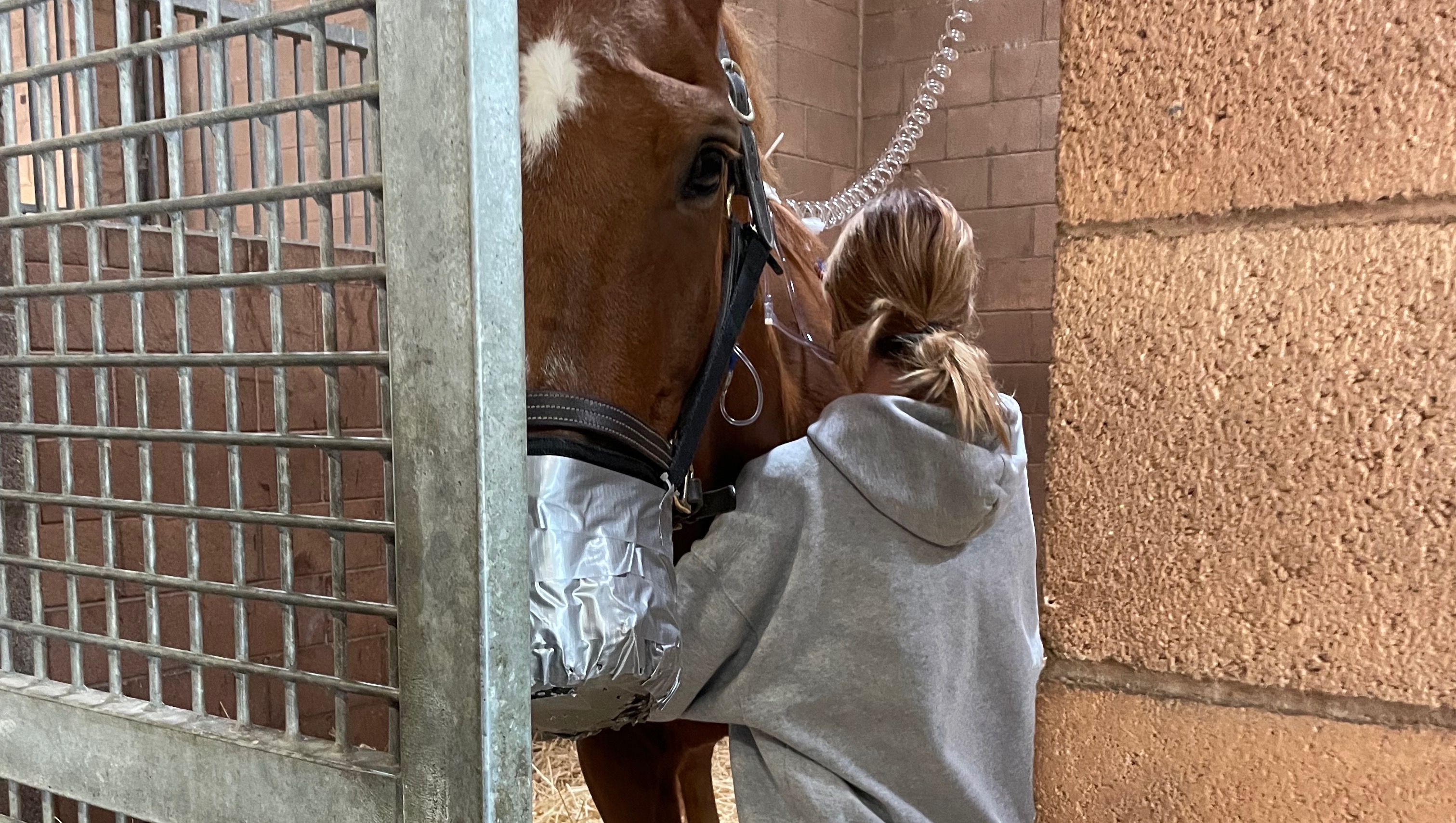 Bring Regatta Home photo