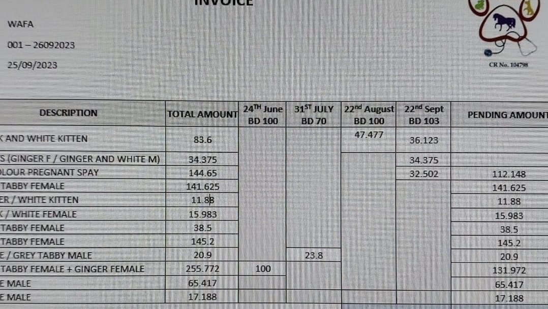 Fundraiser by Laura Scott Support rescue of cats in Bahrain