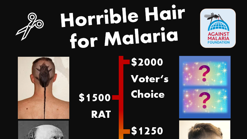 Jake Kilpatrick Fundraiser by Jake Kilpatrick : Horrible Hair for Malaria