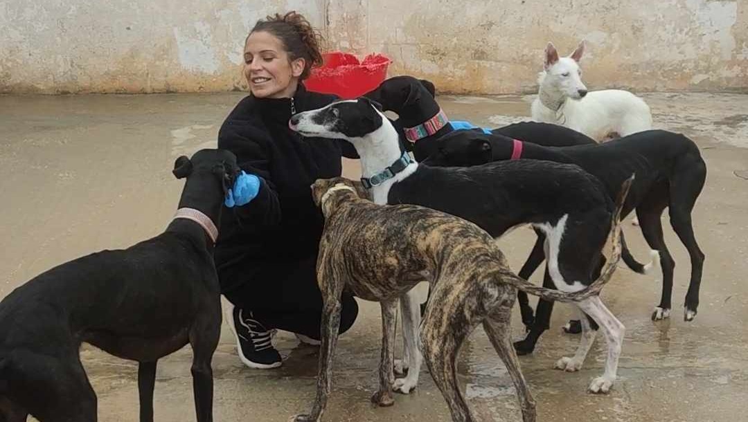 Villamaleas Tiere brauchen Deine Hilfe! photo