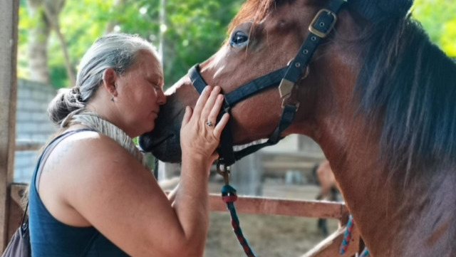 Horses of Gili's- Ongoing Costs photo
