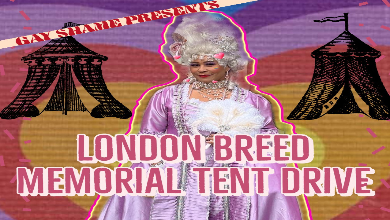 queers 4 tents, tents 4 queers photo