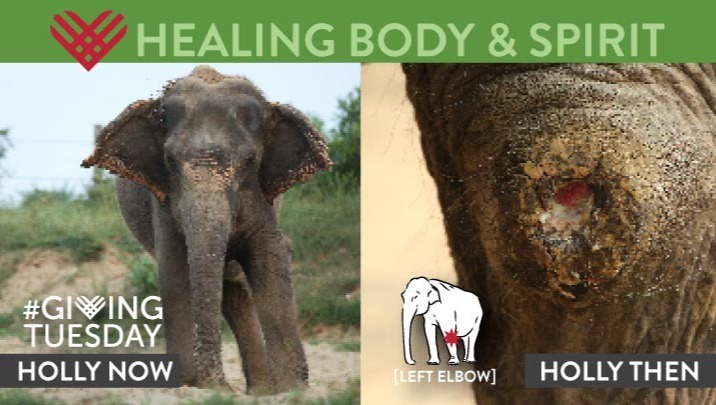 Heal Their Wounds photo