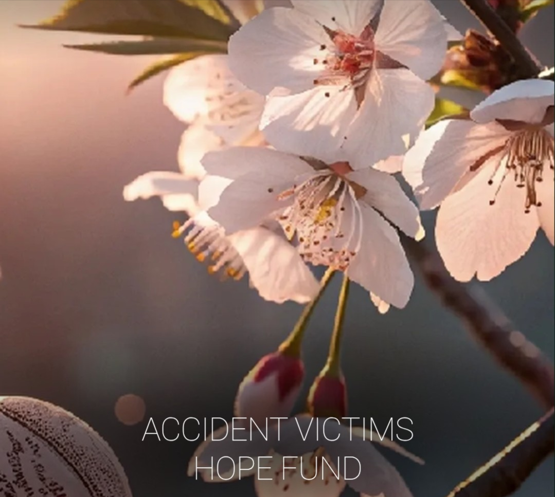 ACCIDENT VICTIMS HOPE FUND SUPPORTING FAMILIES campaign photo, 2 of 12