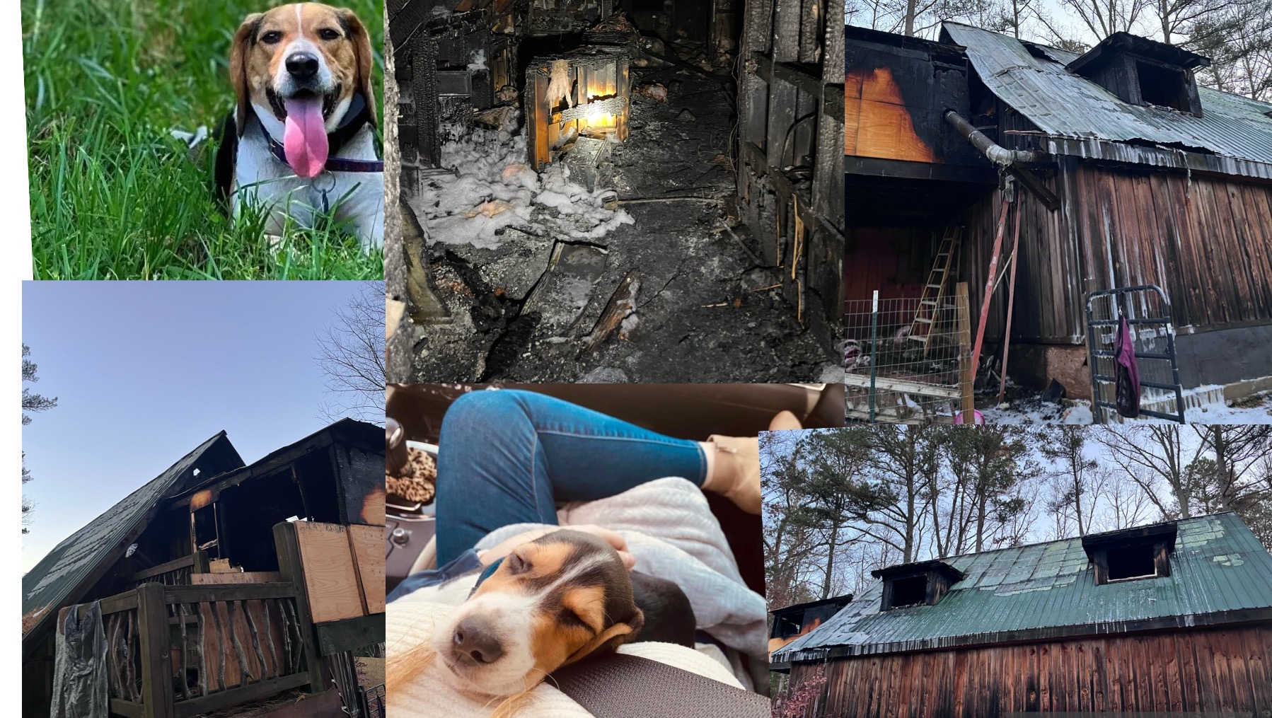 Fundraiser for Lily Crofut by Anna Goode : Mason & Lily recover from