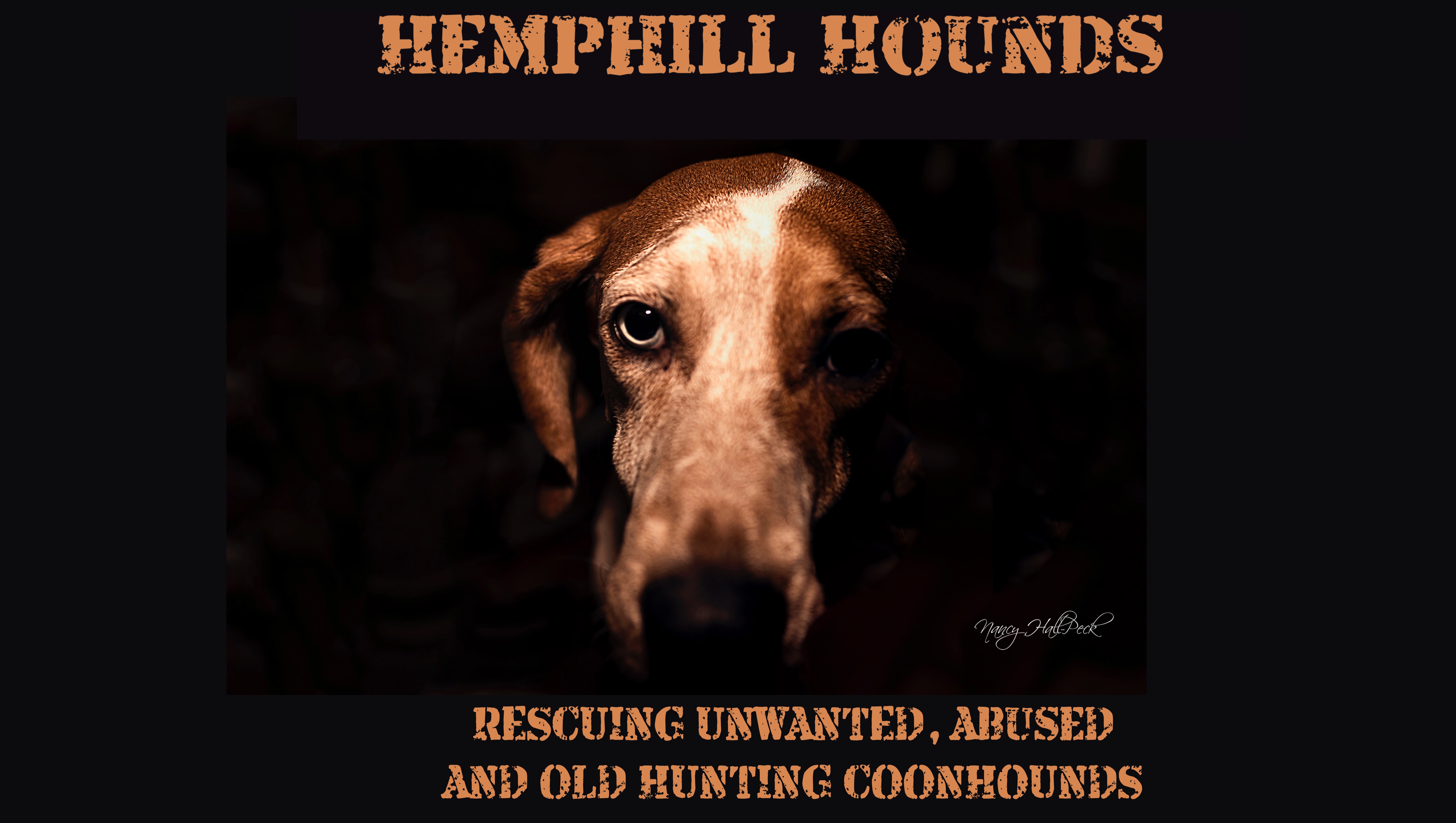 Fundraiser by Nancy HallPeck Annual Fundraiser for Hemphill Hounds