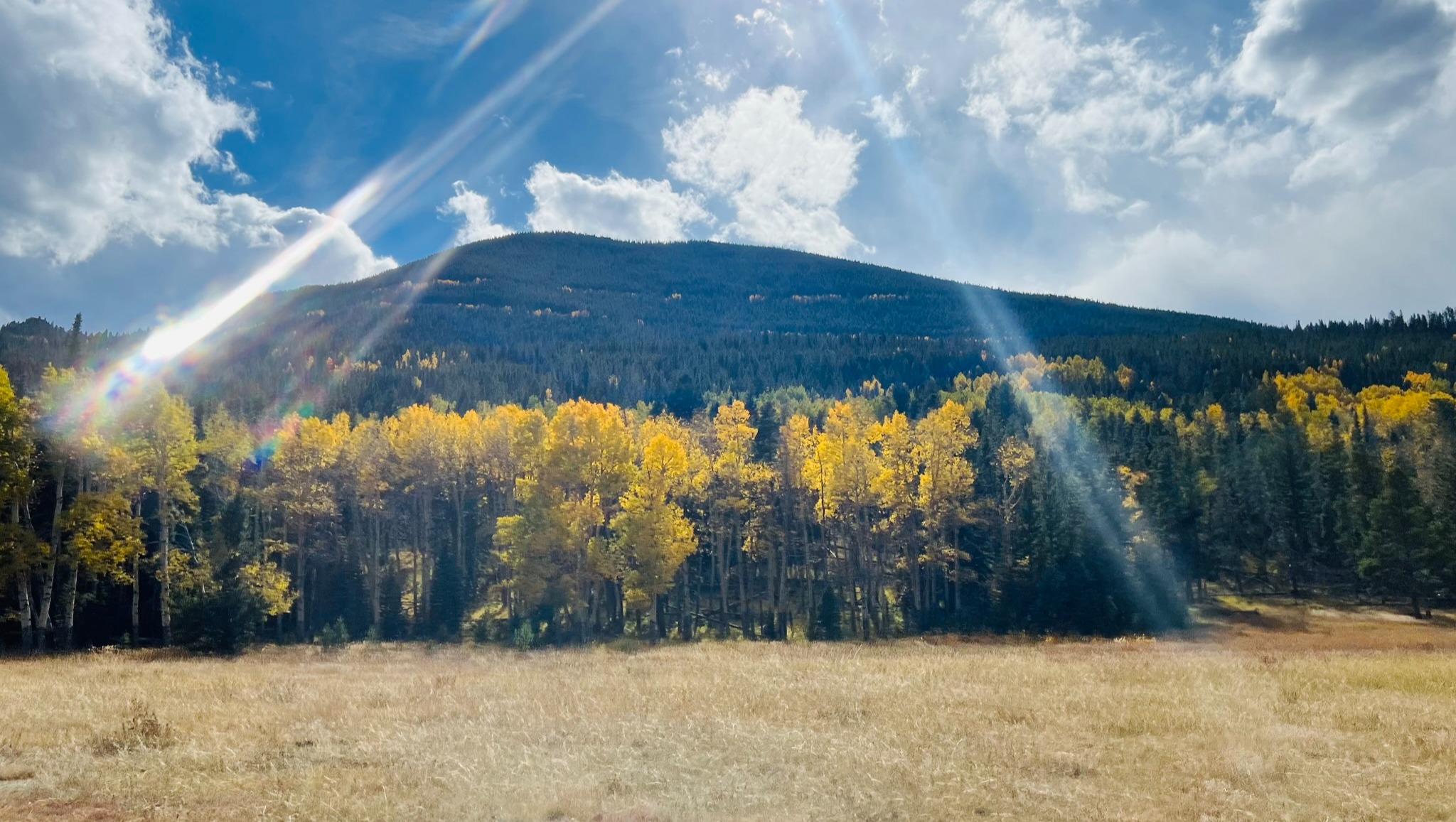 Lars Grimsrud Pontiac GTO Forum