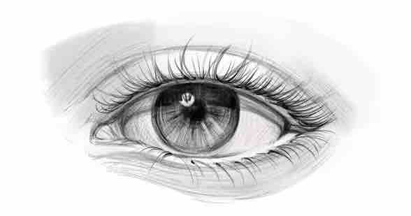 Eyes on Hope: Help Preserve Beau & Boyd's Eyesight campaign photo, 2 of 3