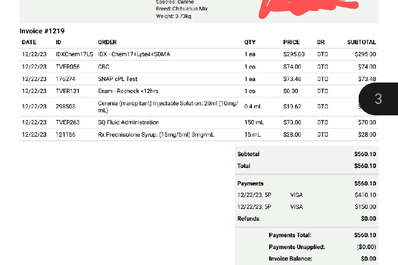 Fundraiser by Zoe Ferguson Medical Emergency help for Lulu
