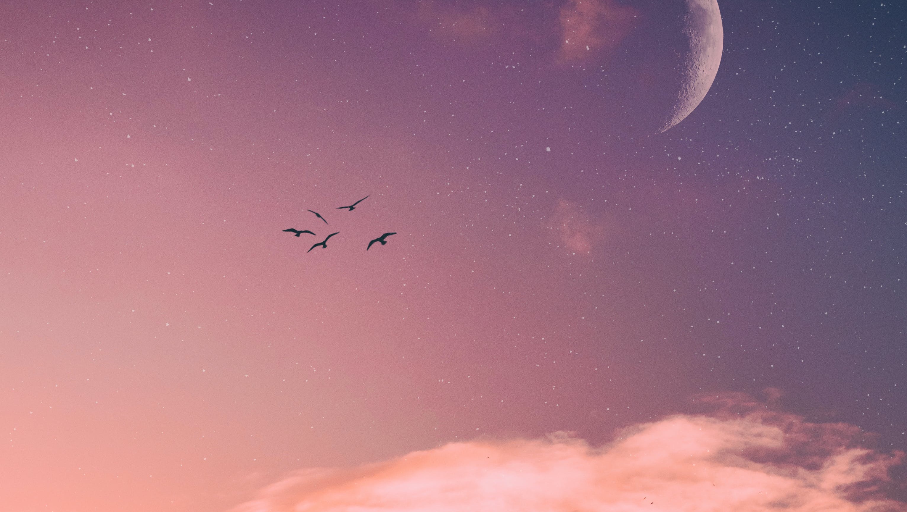 Fundraiser for Stephen Rumble by Leslie Schantz : Supporting Steve ...