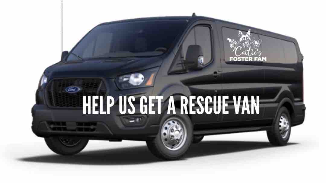 Fundraiser by Caitie’s Foster Fam Rescue : Help us get a rescue van!