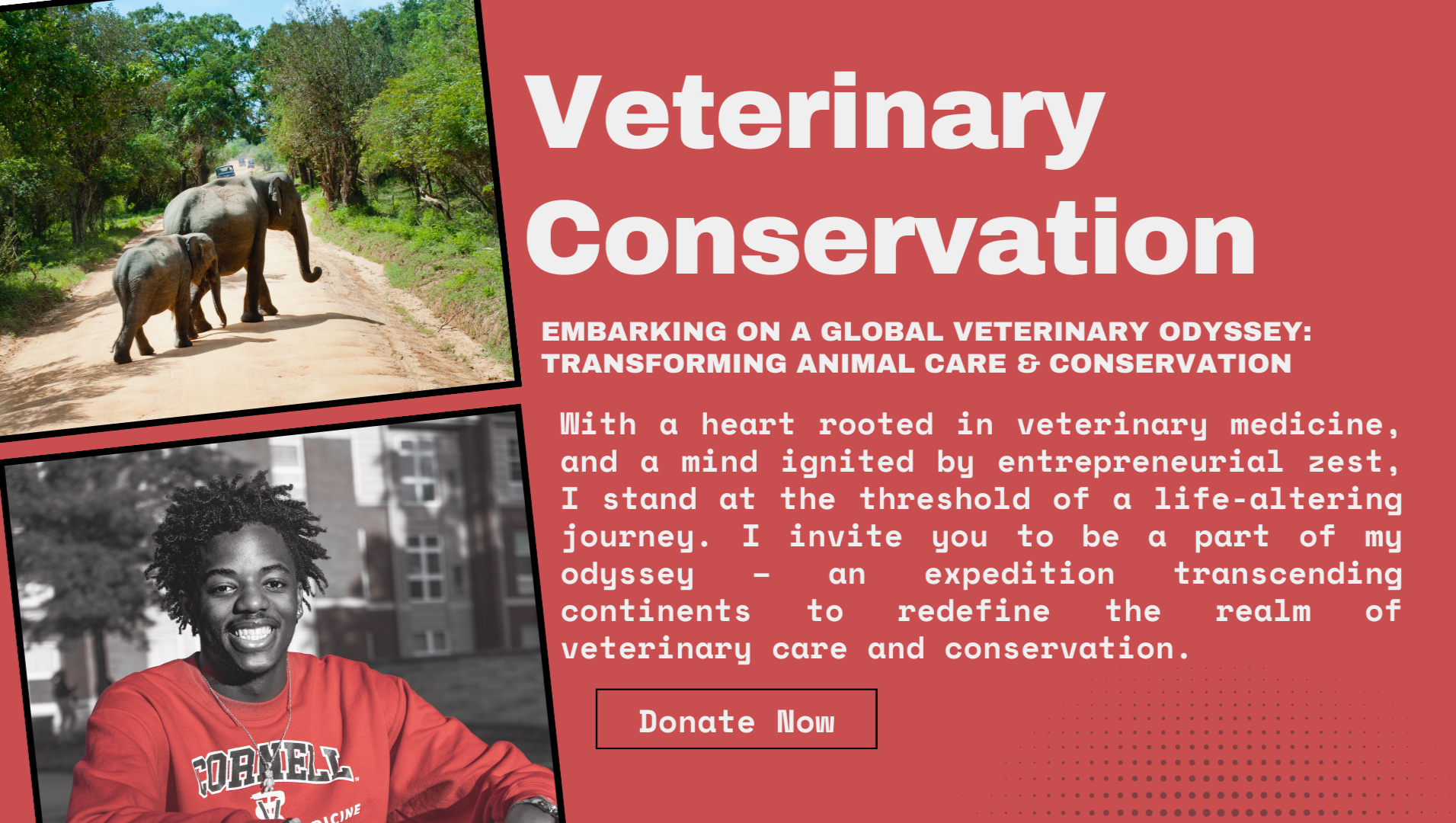 Vet Odyssey: A Global Conservation Mission photo