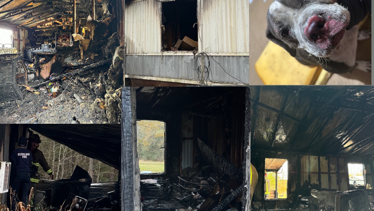Fundraiser by Bobbie DalCortivo Local family loses everything in