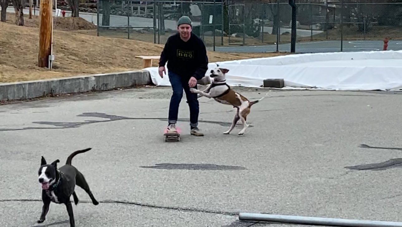 Bethlehem Skate Park - Brendan Foley Memorial photo