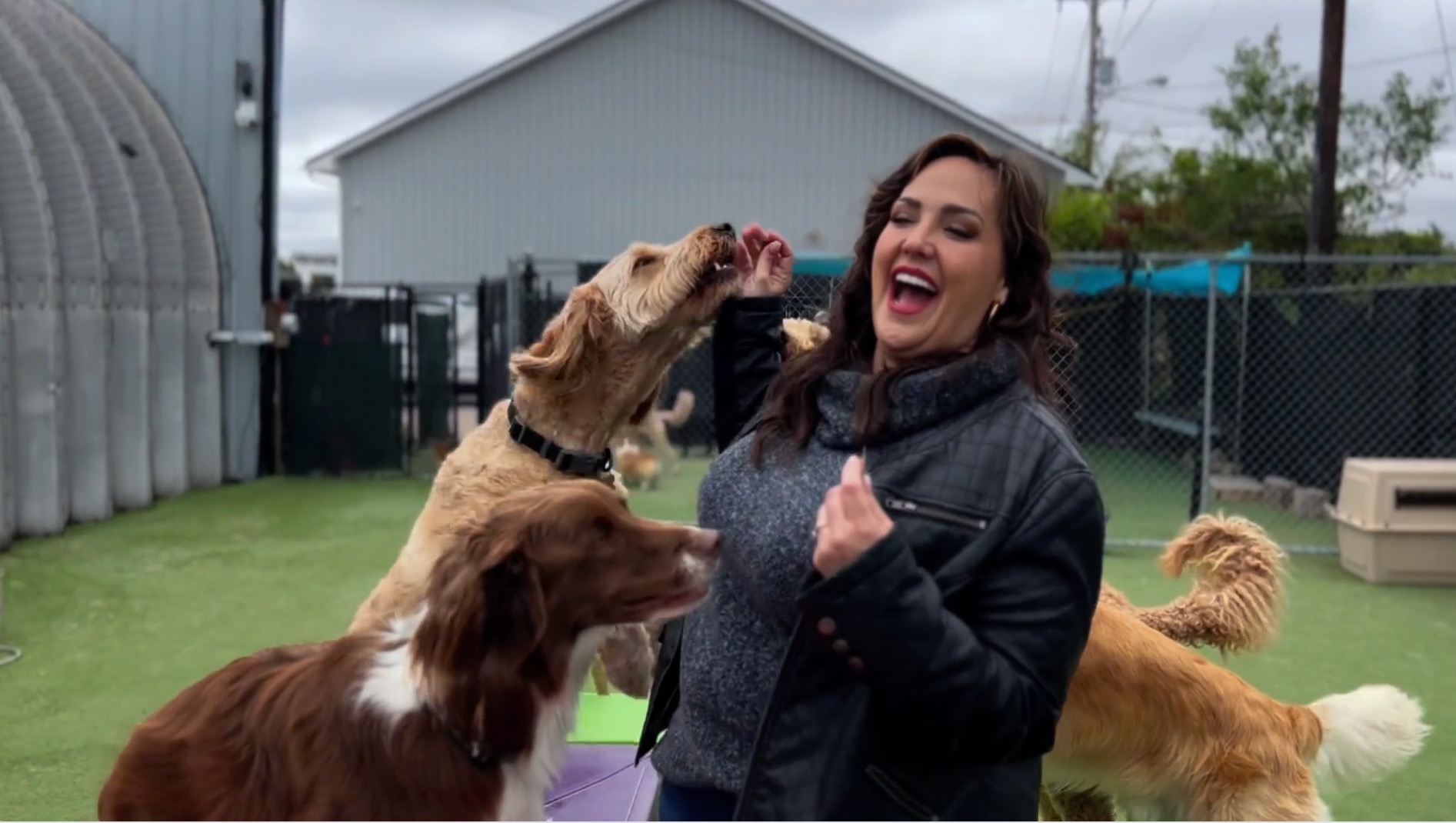 Fundraiser by Melissa Sutherland Help Preserve Paw Prints Doggy Daycare