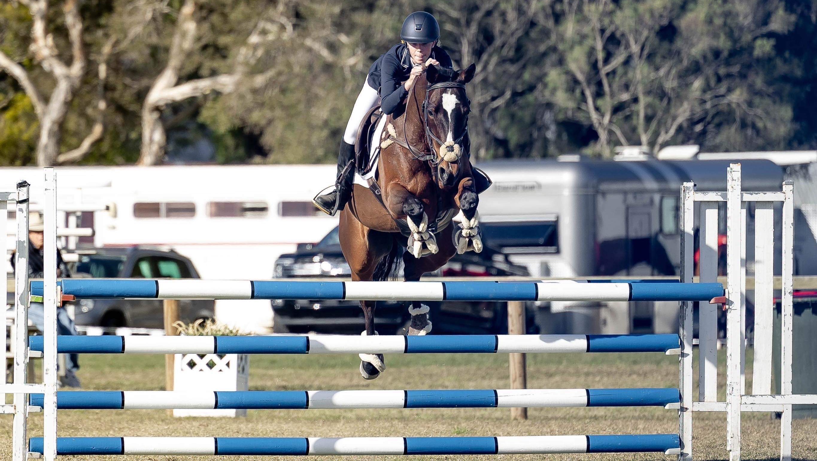 Fundraiser for Belinda Box by Waterford Stables Immys journey to