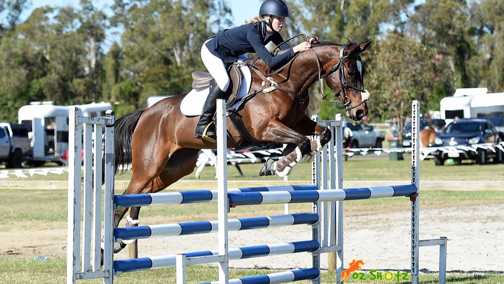 Fundraiser for Belinda Box by Waterford Stables Immys journey to