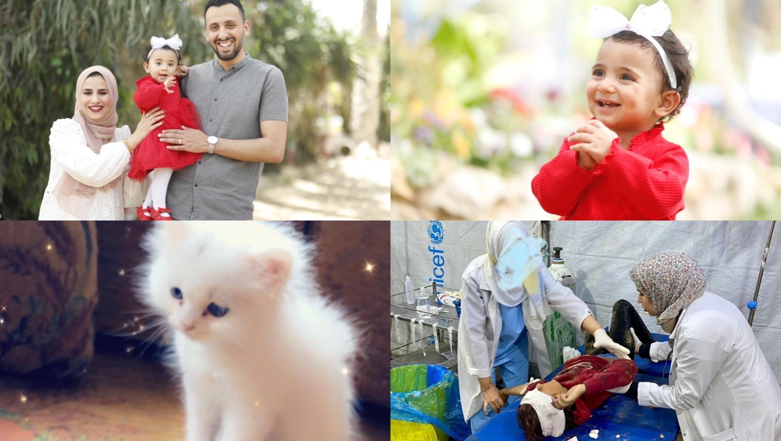 Call from Gaza: Help Bashir's family to survive